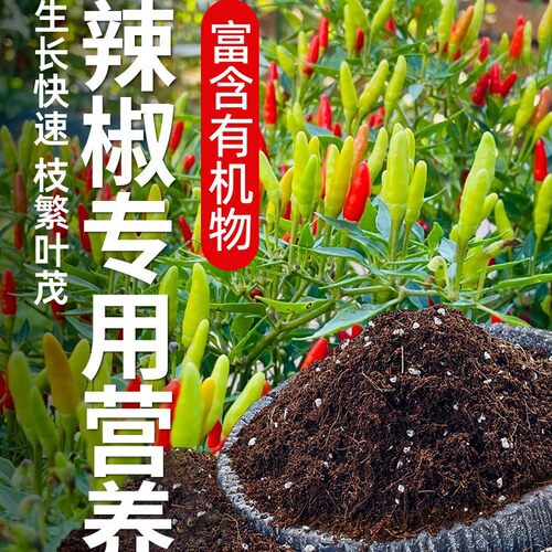 辣椒土营养土种绿植发酵育苗土蔬菜盆栽有机肥种菜土透气增肥疏松