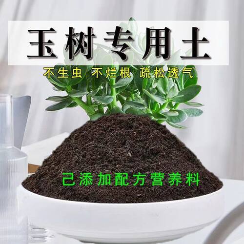 玉树土营养土通用养花种绿植发酵育苗土蔬菜盆栽有机透气增肥疏松