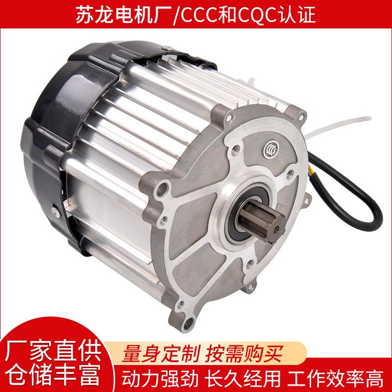 厂家直销无刷120型号差速电动车电瓶车直流无刷电机铜芯链条电机