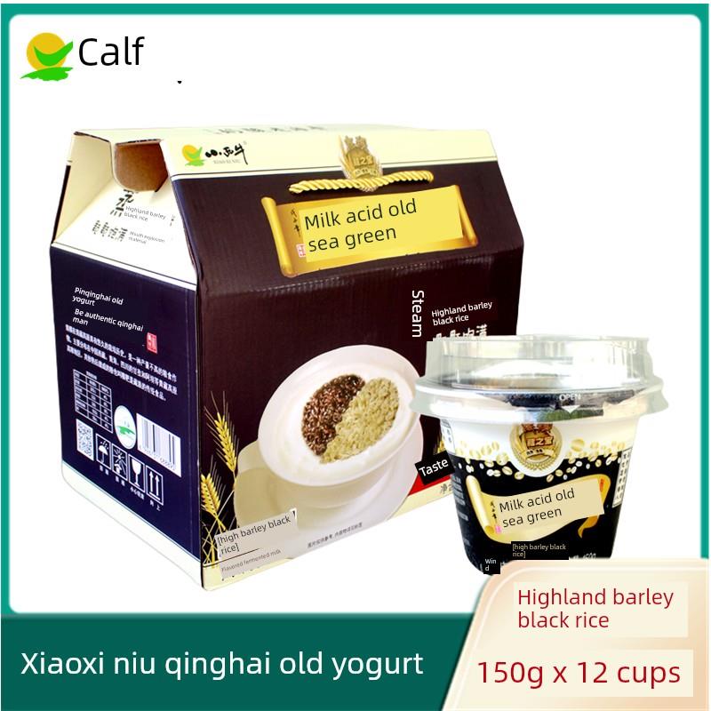 青海特色小西牛老酸奶黑米青稞风味发酵150Gx12杯