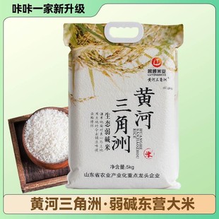 山东东营特产黄河口黄河三角洲大米生态弱碱米粳米福利5kg