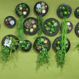 仿真圆形绿植框壁挂花奶茶店墙壁挂墙植物 饰 创意餐厅墙面墙体装