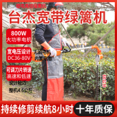 小型加长型电动高枝绿篱机大功率园林修剪 锂电充电式 新款 背负式