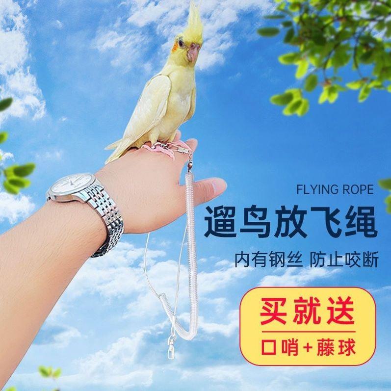 鹦鹉放飞绳脚链脚环虎皮牡丹玄风八哥飞行绳不锈钢训练鸟链牵引绳