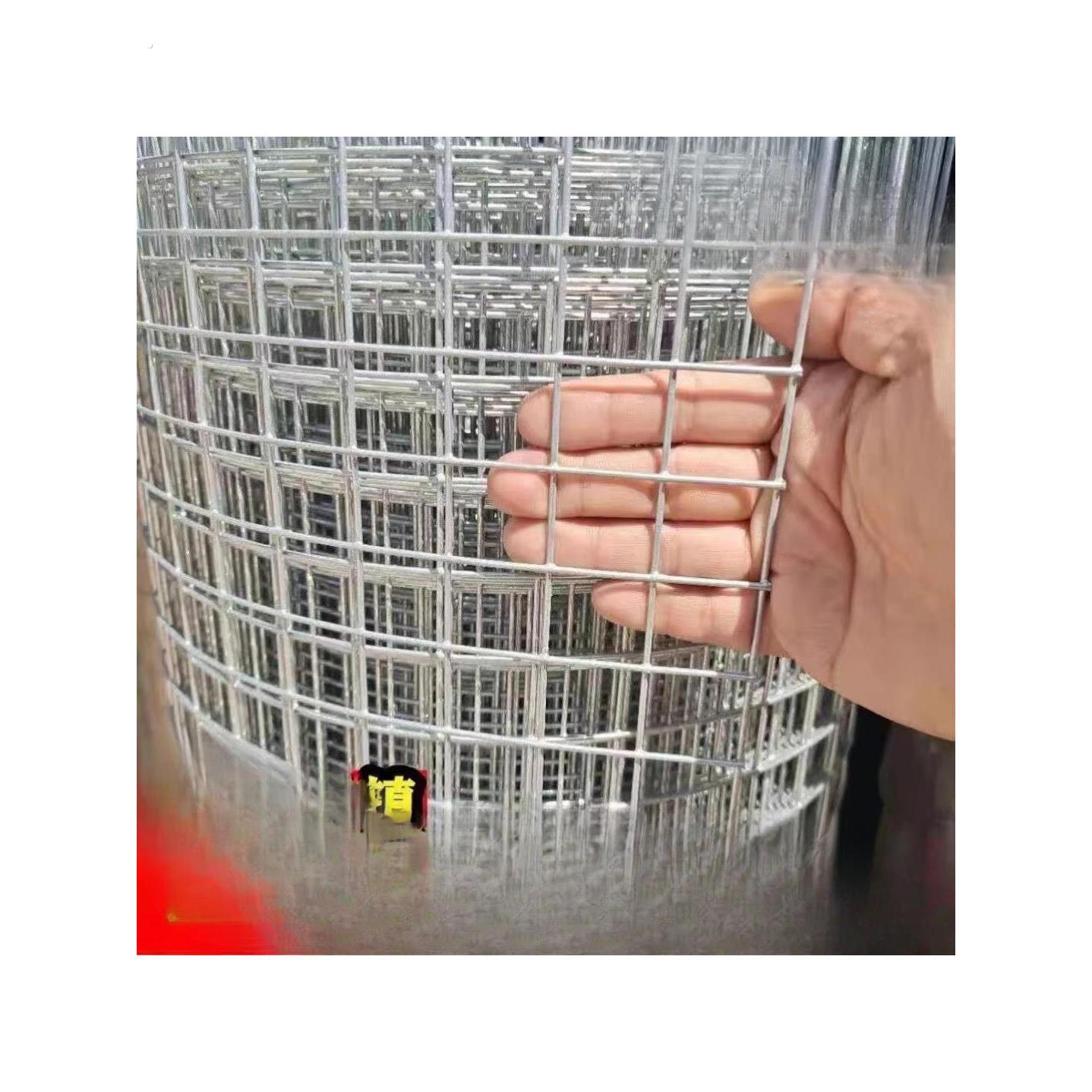 热镀锌铁丝网围栏网养殖网钢丝网拦鸡网建筑网防护网铁网格玉米网