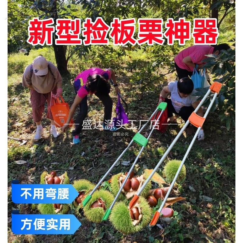 捡板栗神器拣栗子的工具拾果子剥栗子手套打板栗专用夹扒伸缩摘果