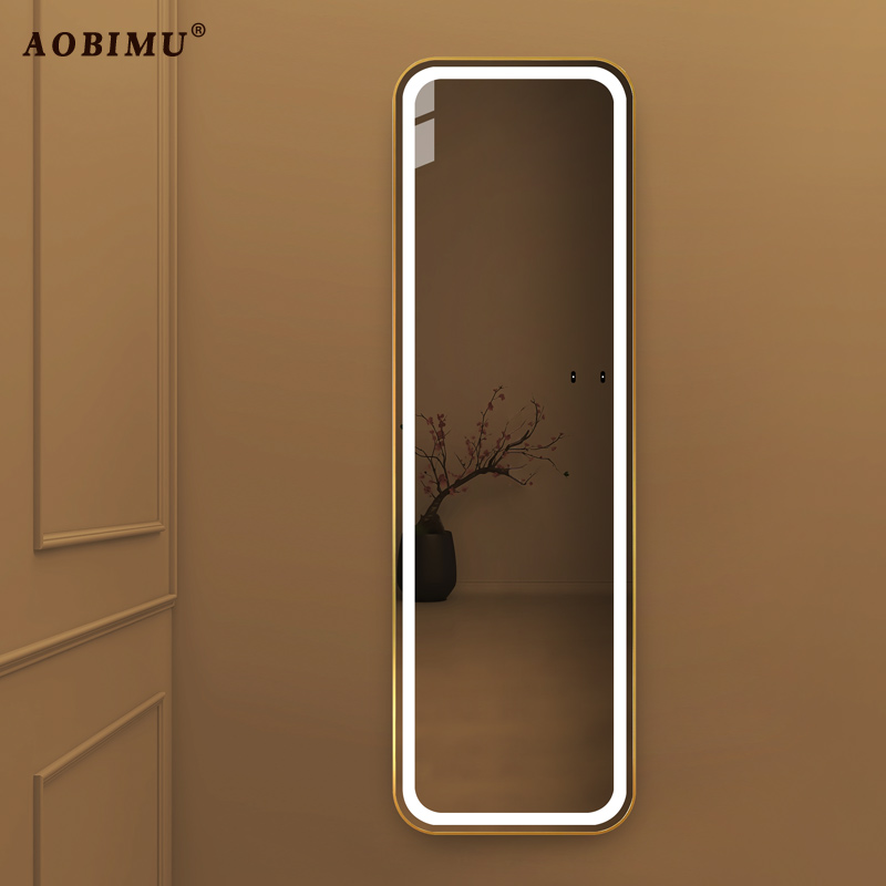 轻奢穿衣镜灯镜装饰镜子玄关氛围灯发光补光全身镜试衣镜衣帽间镜