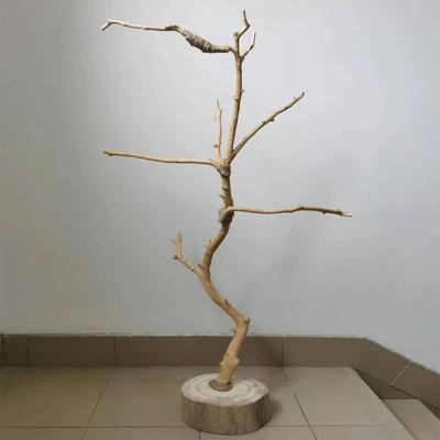 干树枝原木树杈鸟架造型实木落地灯架干枯枝艺术龙骨吊顶衣架装饰