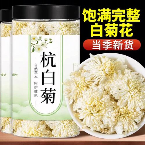 浙江杭白菊花特茶级黄正品