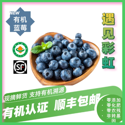 有机蓝莓 有机认证无化肥无激素自然成熟酸甜可口一口爆汁
