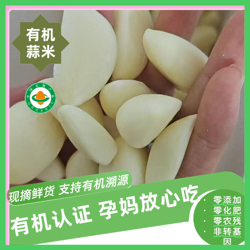 【新鲜有机】有机真空包装蒜米200g/袋顺丰包邮泡沫箱装农家自种