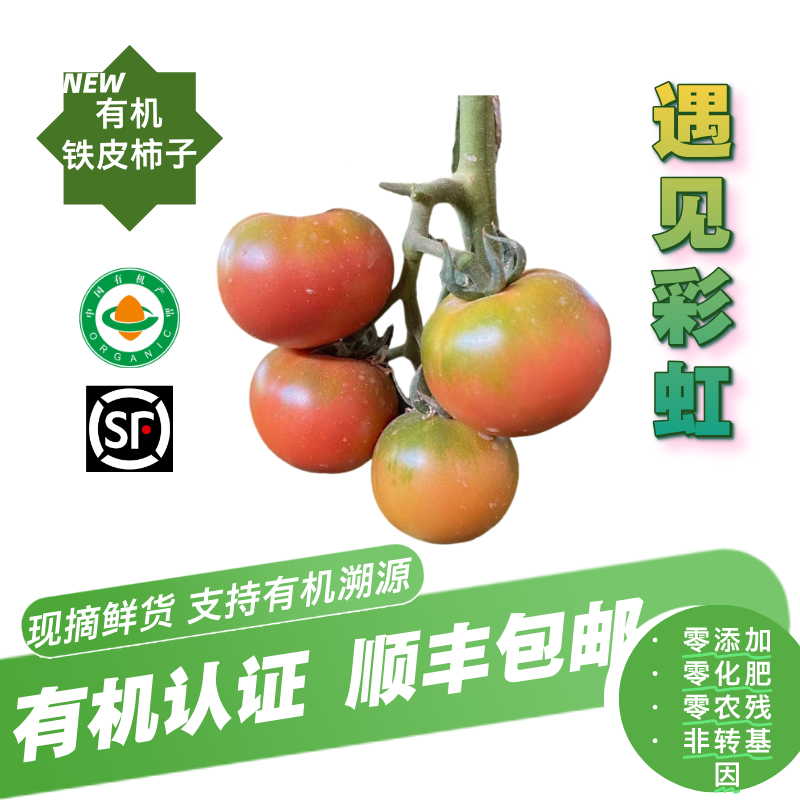 有机草莓番茄 虎眼西红柿 铁皮柿子 水果西红柿有机认证无农残