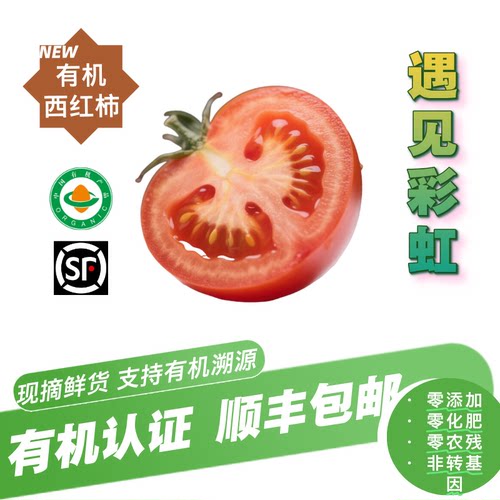 【新鲜有机】有机西红柿顺丰包邮3斤5斤泡沫箱发硬粉西红柿
