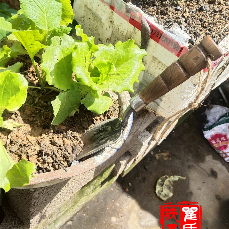 瞿氏铁匠加厚小铲子弹簧钢园艺种花工具挖野菜种花家用种菜翻土用