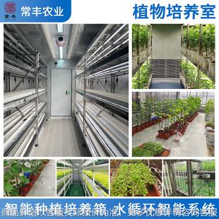 供应试验室植物培养室蔬菜轻型架子智能种植培养箱手机智能启动