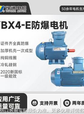 YBX4-E防爆电机三相380/660/1140V 1.5/2.2/3/4/5.5/7.5/11/15w