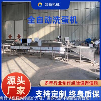 商用双排鸡蛋清洗机松花蛋蛋品清洗加工设鸭蛋动全洗自OVT备双排