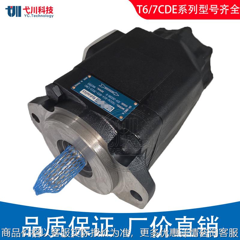 DENISON油泵T6CC/DC/ED/EE/T6E/T7B/T7D高液压替双联丹尼逊