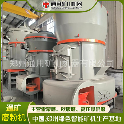 环保粉煤灰雷蒙磨 煤矸石雷蒙磨粉机 石油焦磨粉设备 厂家直销