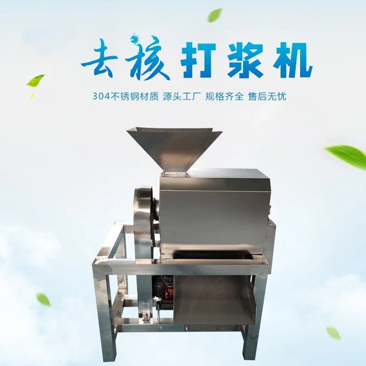 商用不锈钢单道去皮打浆机 枇杷自动去核机 油桃芒果红枣脱核机