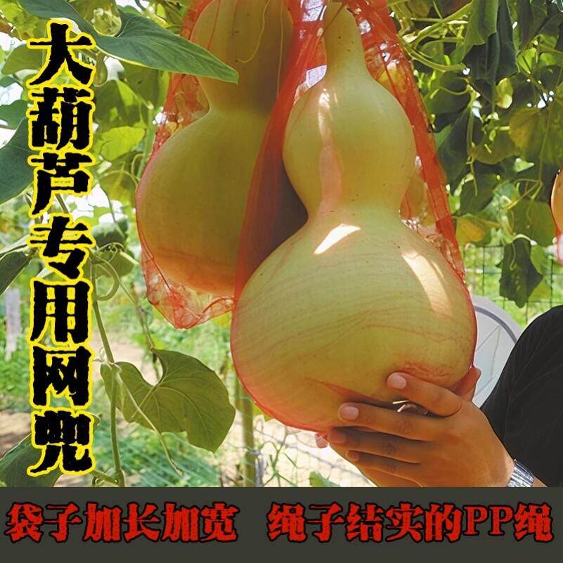 葫芦防坠网兜大葫芦专用编织托网红薯板栗分装袋绳红黄色纱网袋