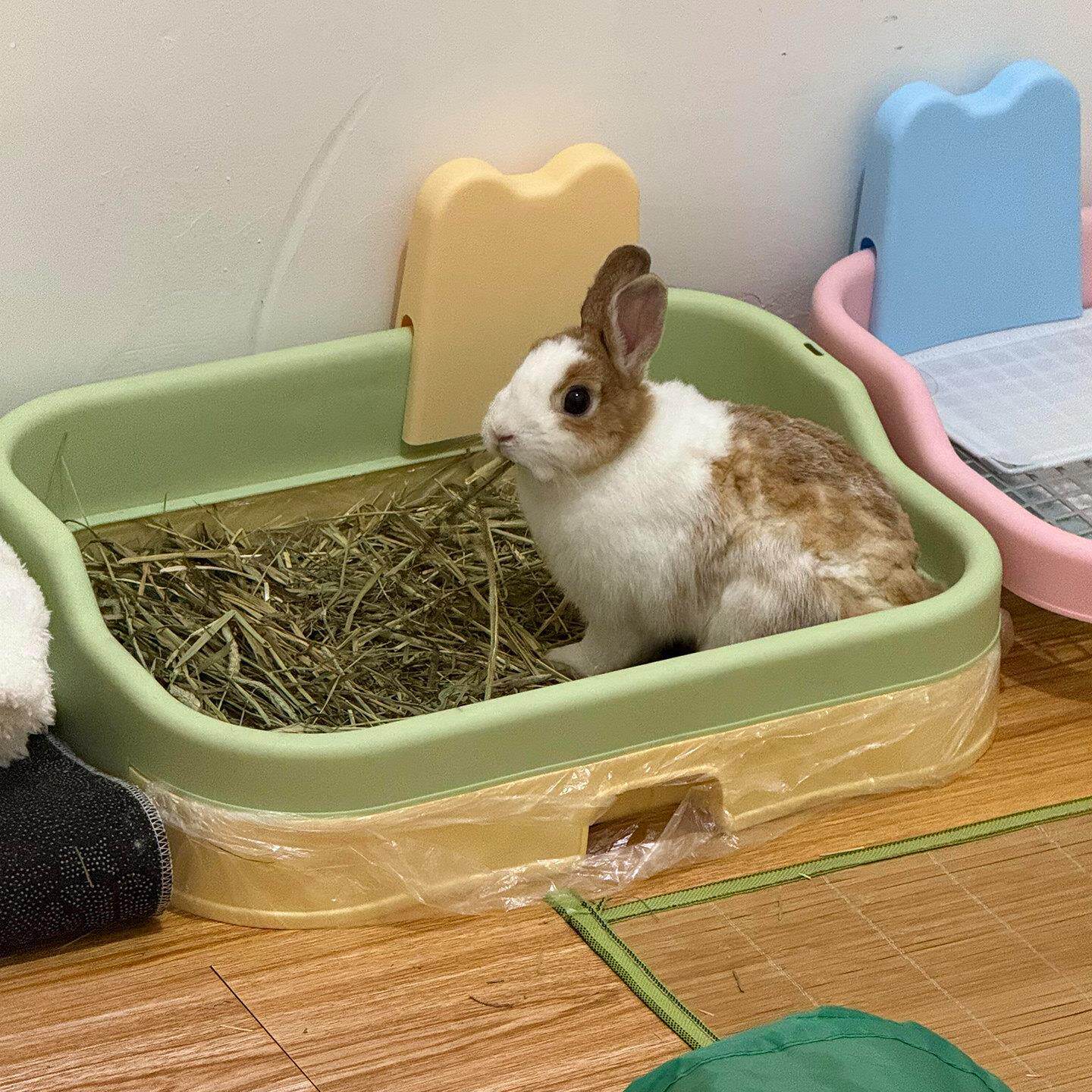 兔子食盆大容量食草架草盆防打翻食槽荷兰猪豚鼠喂食器外置草盒