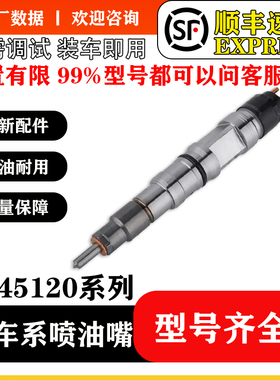 BS/0445120355柴油共轨喷油器总成喷油嘴厂家供应质量保证