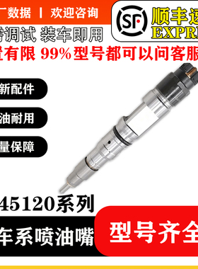 BS/0445120061喷油器总成锡柴发动机喷油嘴厂家供应质量保证