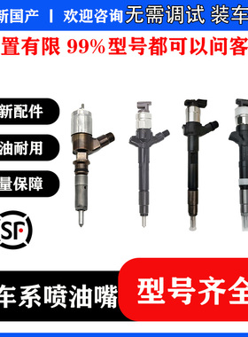 BS/095000-6320喷油器总成RE530362国产喷油器工厂直供