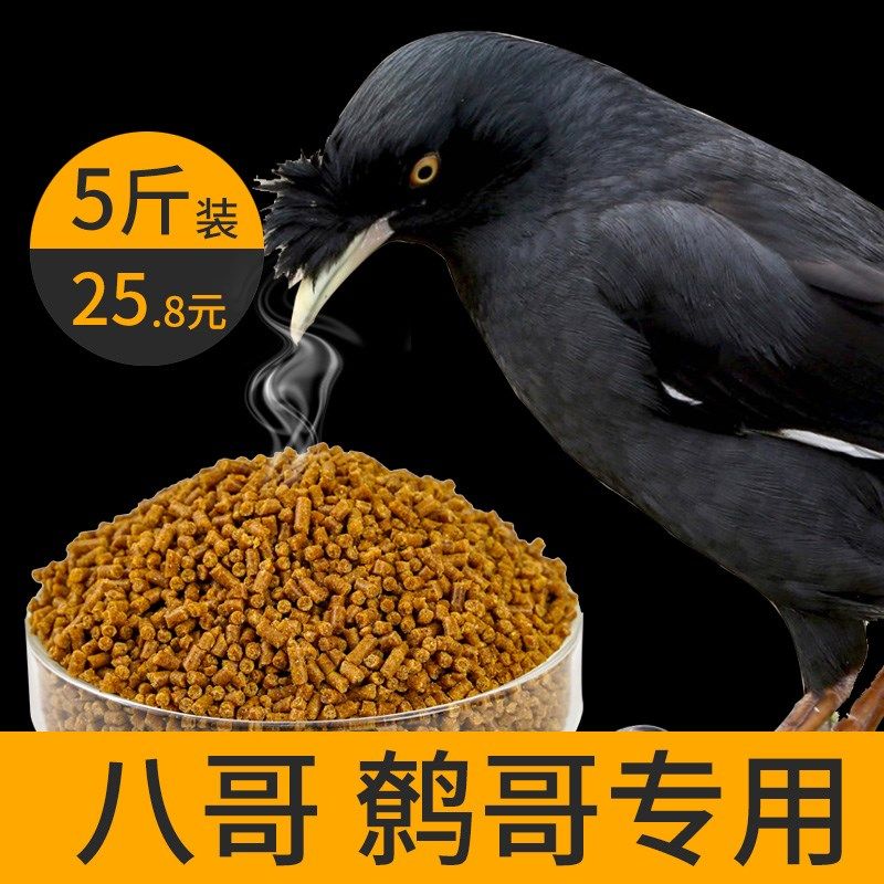 祥腾八哥鹩哥饲料鸟饲料营养壮膘助说话了哥鸟粮宠物饲料5斤鸟食,宠物/宠物食品及用品,鸟食,淘宝优惠券,粉丝福利购,淘宝优惠卷