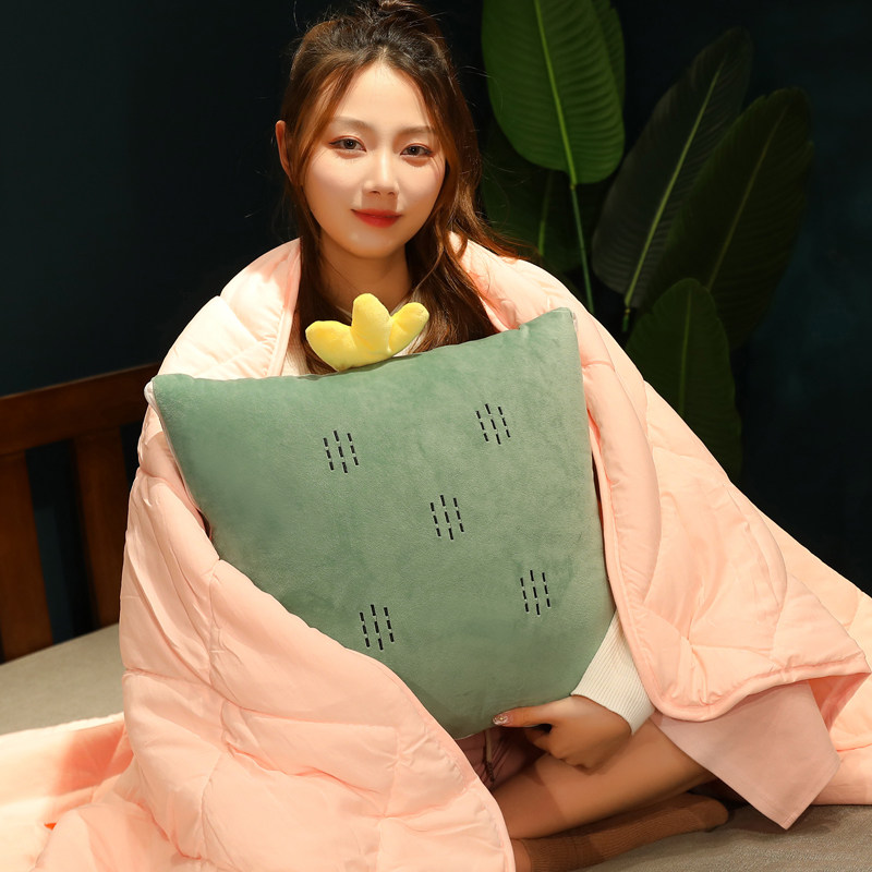 抱枕被子两用办公室午睡枕头车内折叠空调被汽车靠枕车用四季通用,居家布艺,抱枕被,淘宝优惠券,粉丝福利购,淘宝优惠卷