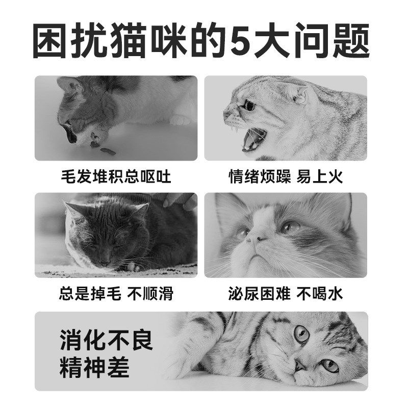 笑宠猫条猫咪零食营养增肥发腮幼猫成猫湿粮三文鱼鸡肉100支整箱