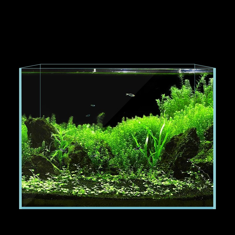 超白鱼缸金晶玻璃超白缸定制定做长方形客厅小型生态乌龟缸造景