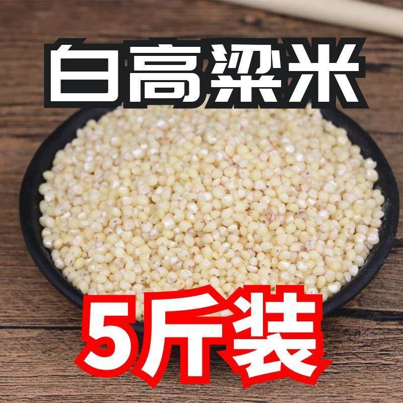 5斤东北新白高粱米农家自产脱皮去壳高粱新货散装五谷粗粮粥酿酒