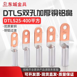 【】DTLS双孔铜铝鼻子 过渡铝线鼻子 接线端子 紫铜加厚 线耳
