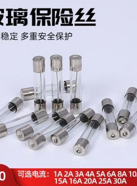 Glass Fuse玻璃熔断器6*30 保险丝管快熔6X30MM F3AL250V 100只/