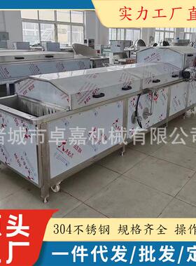 电加热流水线式紫甘蓝漂烫杀青护色机大头菜漂烫冷却风干流水线