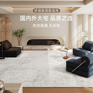 隔音全房间毯大铺 边家用客厅地毯2025卧室床可擦免洗面地垫积新款