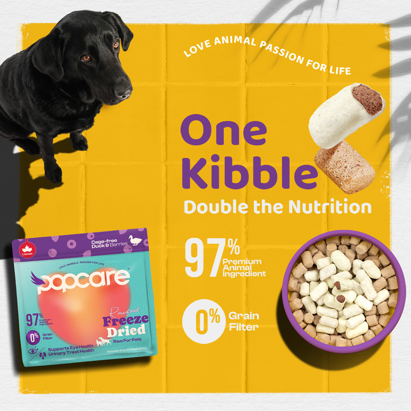 POPCARE泡泡可儿全价主食冻干生骨肉野鸭莓莓300g,宠物/宠物食品及用品,猫全价冻干粮,淘宝优惠券,粉丝福利购,淘宝优惠卷