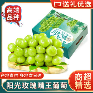 江苏晴王葡萄 阳光玫瑰葡萄【JD/SF多地次日达】香印无籽青提水果
