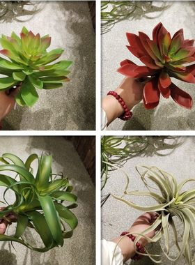 空气草多肉植物假花软装绿植小盆景植物墙花材橱窗仿真小草