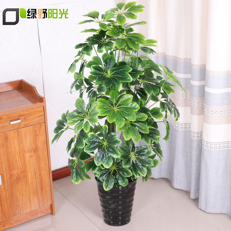 假树仿真绿植室内落地仿真植物盆景盆栽仿真树金钱树