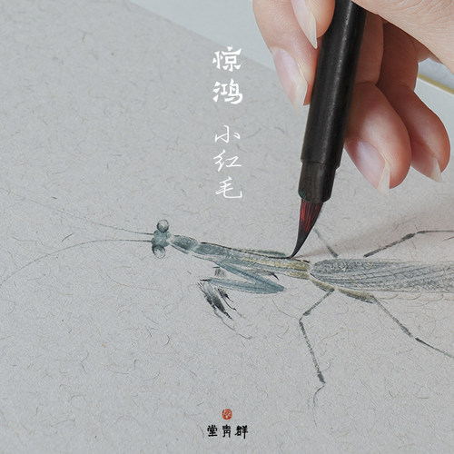 群青堂 惊鸿 毛勾线笔国画专业工笔花鸟白描线描草虫小楷抄