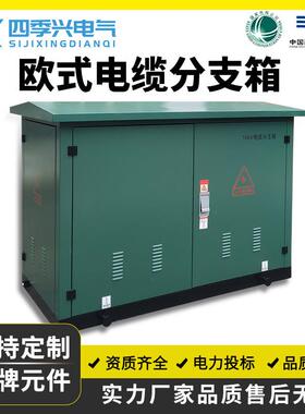 10KV电缆分支箱高压FW-12/630一进一二三四出户外35KV欧式分接箱