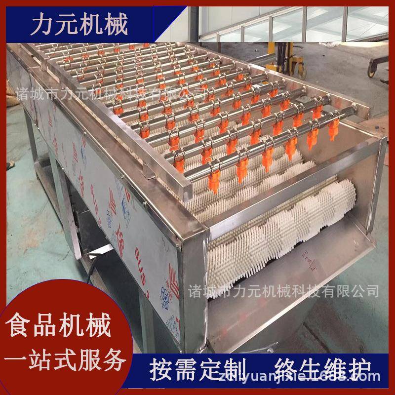圣女果西红柿清洗机苹果橘子芒果商用高压水毛刷果蔬清洗机