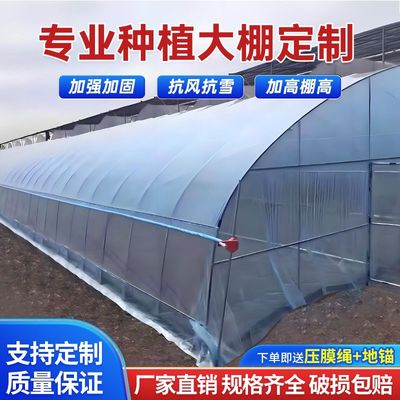 蔬菜椭圆保温大棚钢管全