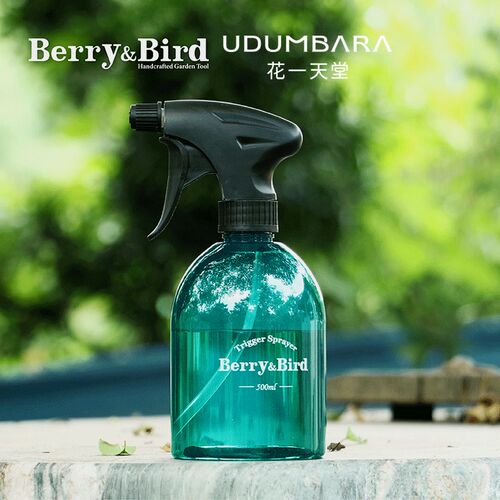 Berry&Bird园艺森林多肉专用小号喷壶气压式浇水家用消毒打药工具