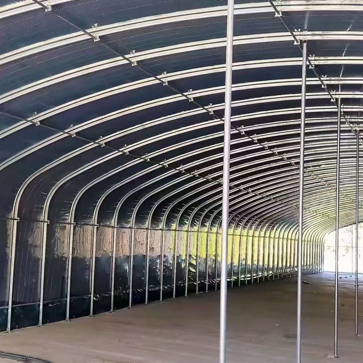蔬菜大棚种植养殖保温鸡