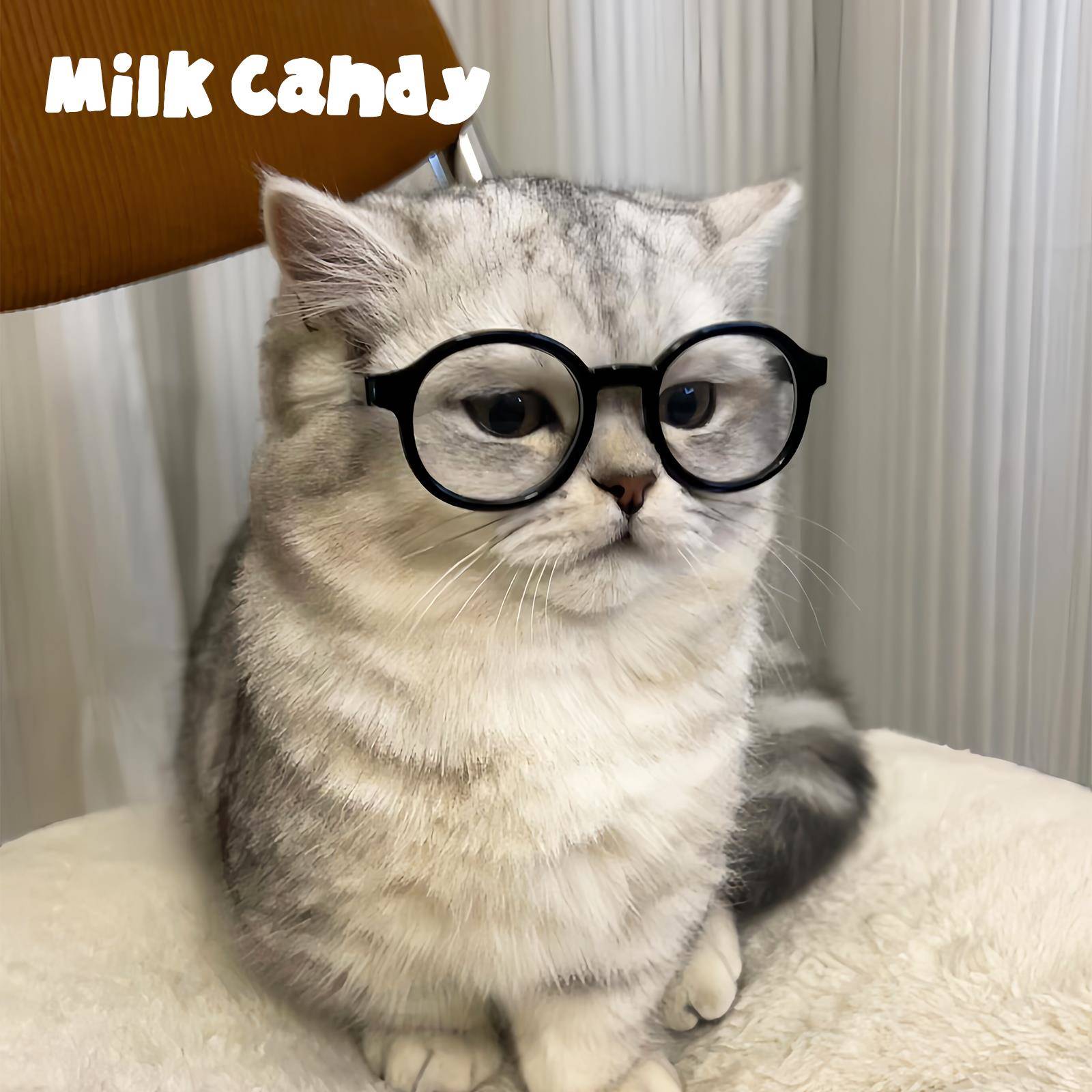 猫咪眼镜宠物狗狗太阳眼镜小型犬小狗比熊装扮小猫专用眼镜框拍照