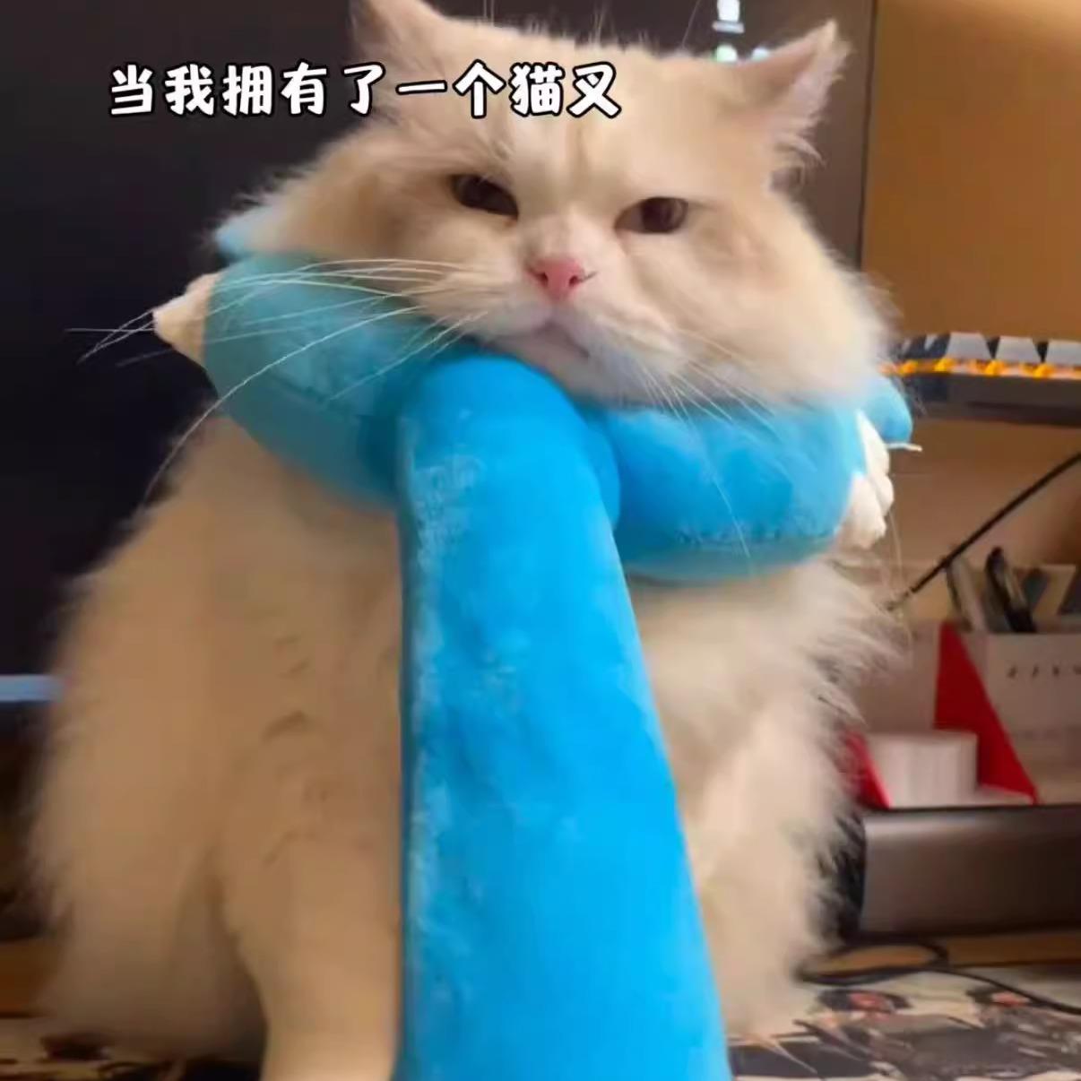 猫咪讨伐棒搞笑毛绒逗猫棒铲屎官互动道具调皮猫制裁神器猫咪玩具